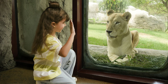 DSP_Season-six-closing