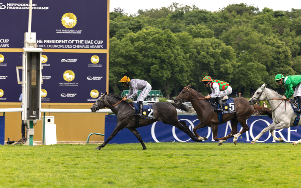 “Luwsail”-winning-the-France-leg-of-the-UAE-President’s-Cup-(2)