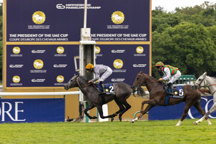 “Luwsail”-winning-the-France-leg-of-the-UAE-President’s-Cup