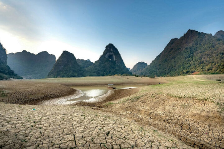 pexels-quang-nguyen-vinh