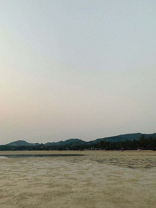 pexels-theplanetspeaks