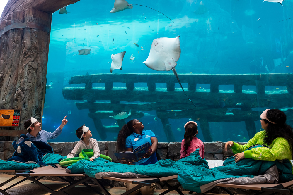 SeaWorld-Abu-Dhabi-Sleepover-1