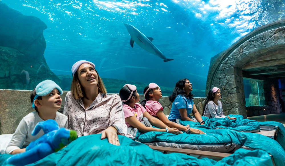 SeaWorld-Abu-Dhabi-Sleepover-2