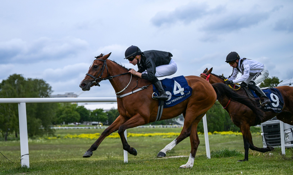 UAE-President’s-Cup--SWEDEN-(2)