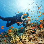 Constance-Havalaveli-Placeholder