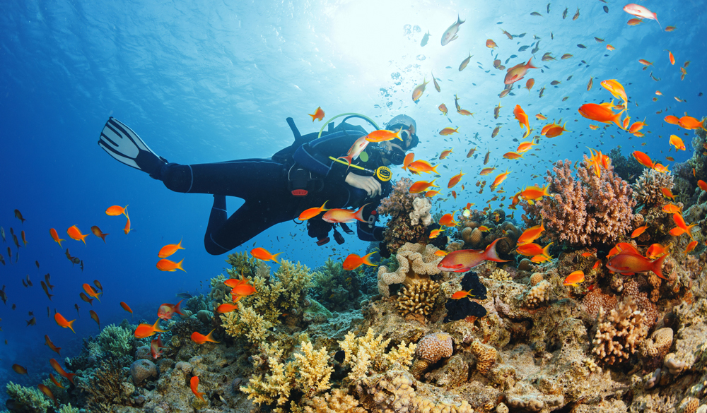 Constance-Havalaveli-Placeholder