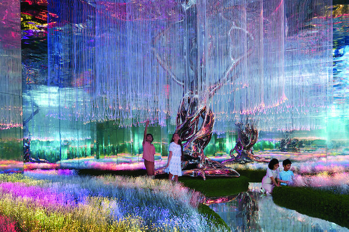 DSS-Hotels,-Attractions,-and-Summer-Camps