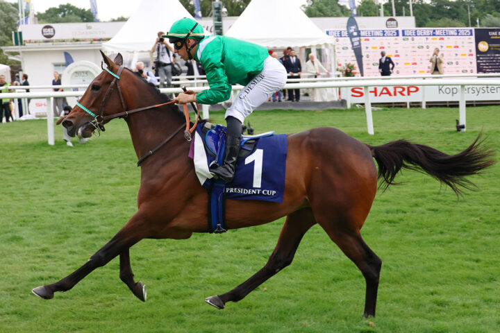 THE-WINNER--HM-AL-CHAHINE