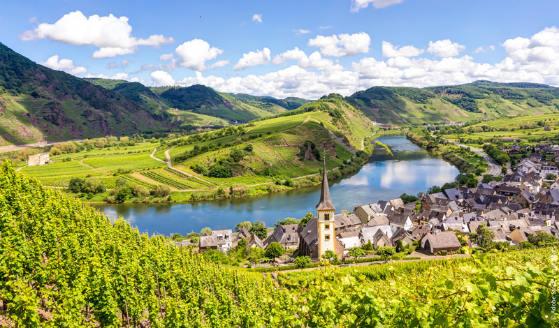 Bremm_Moselschleife_in_der_Calmont-Region_an_einem_sommerlichen_Tag_