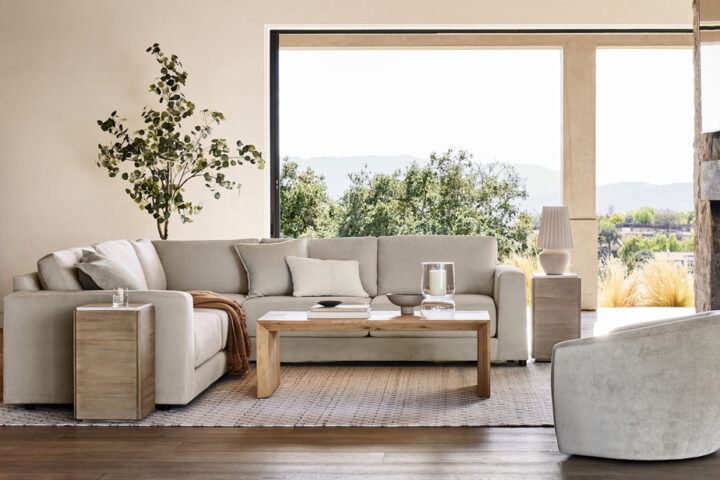 DSS-Daily-Surprises-Week-2-(Crate-&-Barrel)