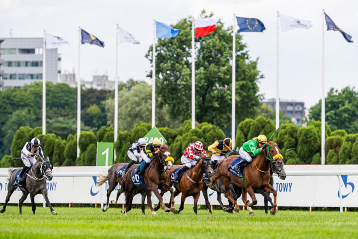 Prestigious UAE President Cup for Purebred Arabian Horses in Poland. (Image Credit: Supplied)