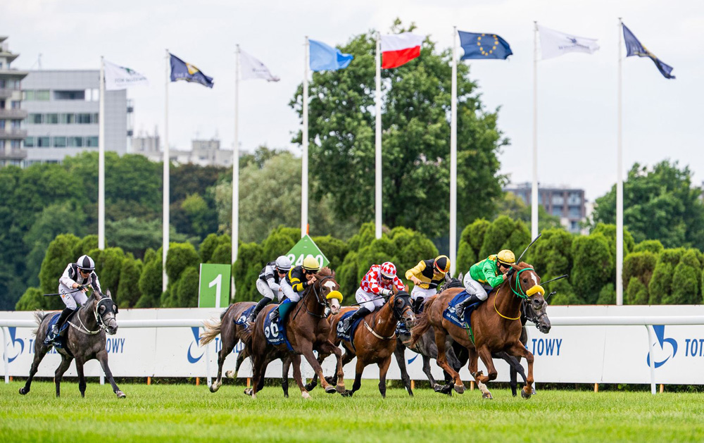 Prestigious UAE President Cup for Purebred Arabian Horses in Poland. (Image Credit: Supplied)