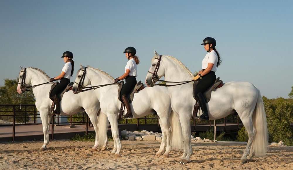 Abu-Dhabi-Royal-Equestrian-Arts---Riders.