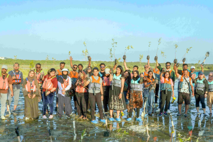 Hotpack-employees-during-mangrove-plantation-activity