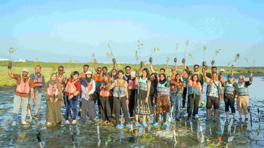 Hotpack-employees-during-mangrove-plantation-activity