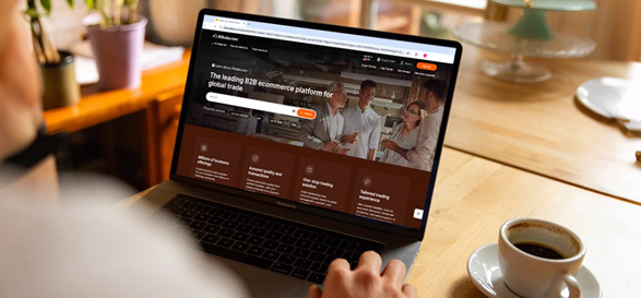 Ali-Baba-B2B