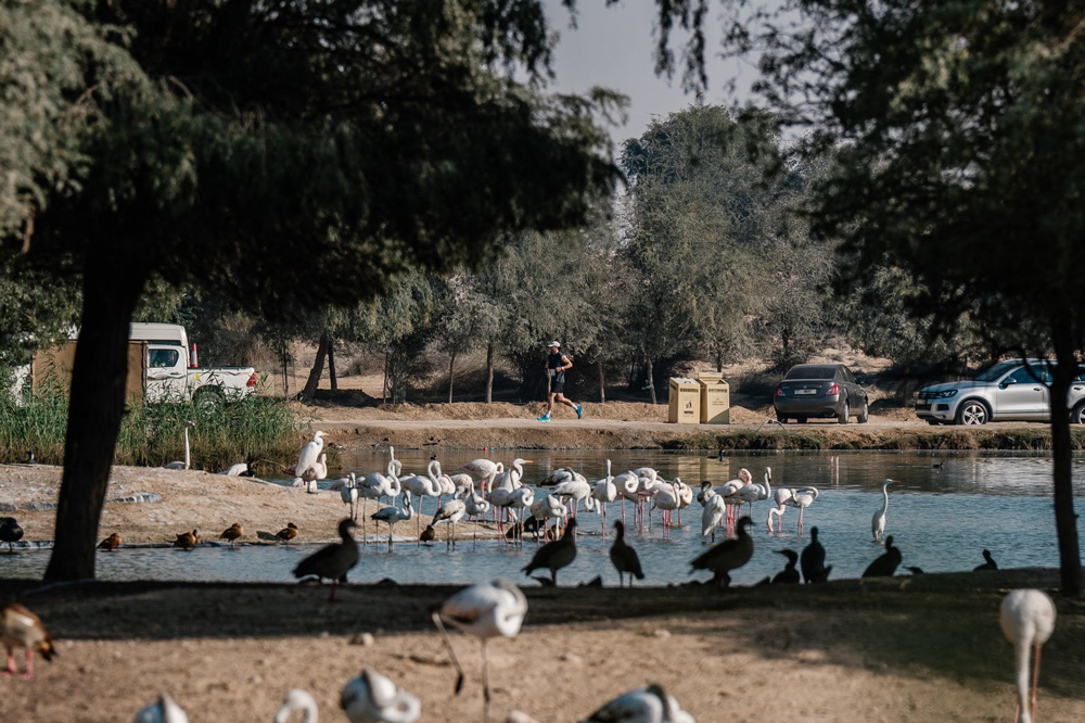 Hood To Coast Dubai 2026 Makes History at Al Marmoom Desert Conservation Reserve. (Image Credit: Supplied)