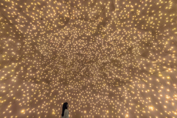 Massless-Suns-and-Dark-Suns